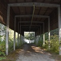 DSC 0011