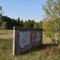 DSC 0016