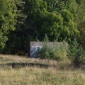 DSC 0017