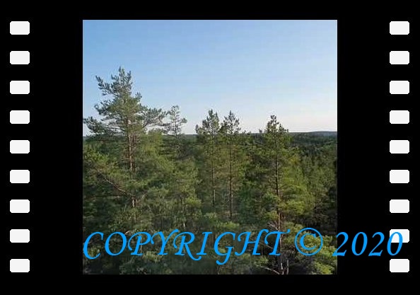 youtube-YCjOJVtJ7mA-5f738b9410dc5.jpg